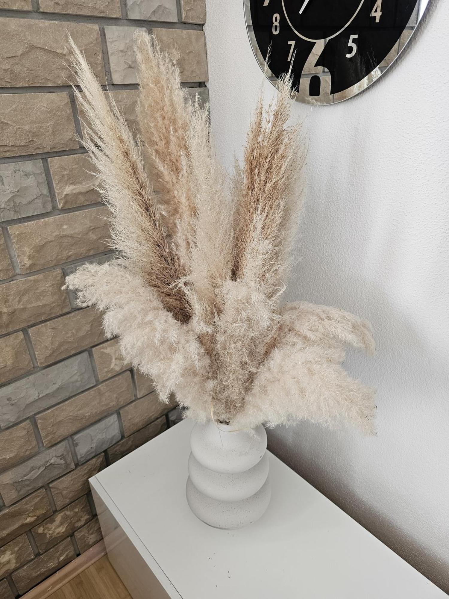 Apartment Zara بيوغْغاد نا موغو المظهر الخارجي الصورة